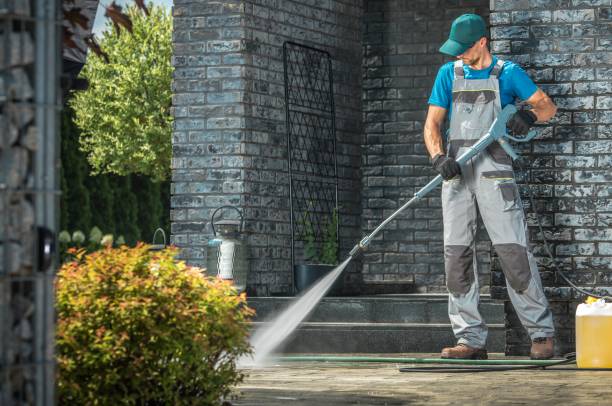 Solar Panel Cleaning in Anacoco, LA